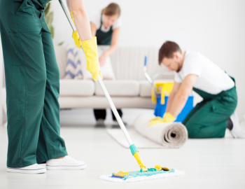 5 Qualities to Look For in a Professional Carpet Cleaner